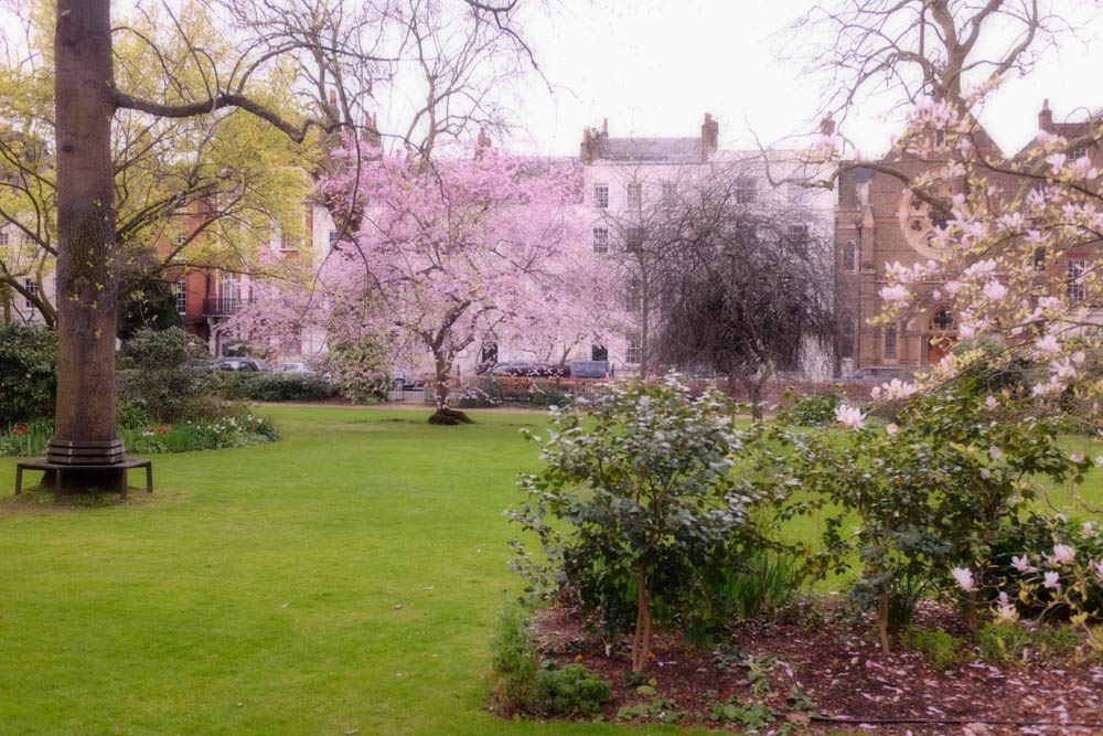 Kensington – Royal Village