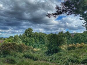 Hampstead Heath