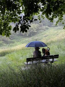 Person sitting on a bench