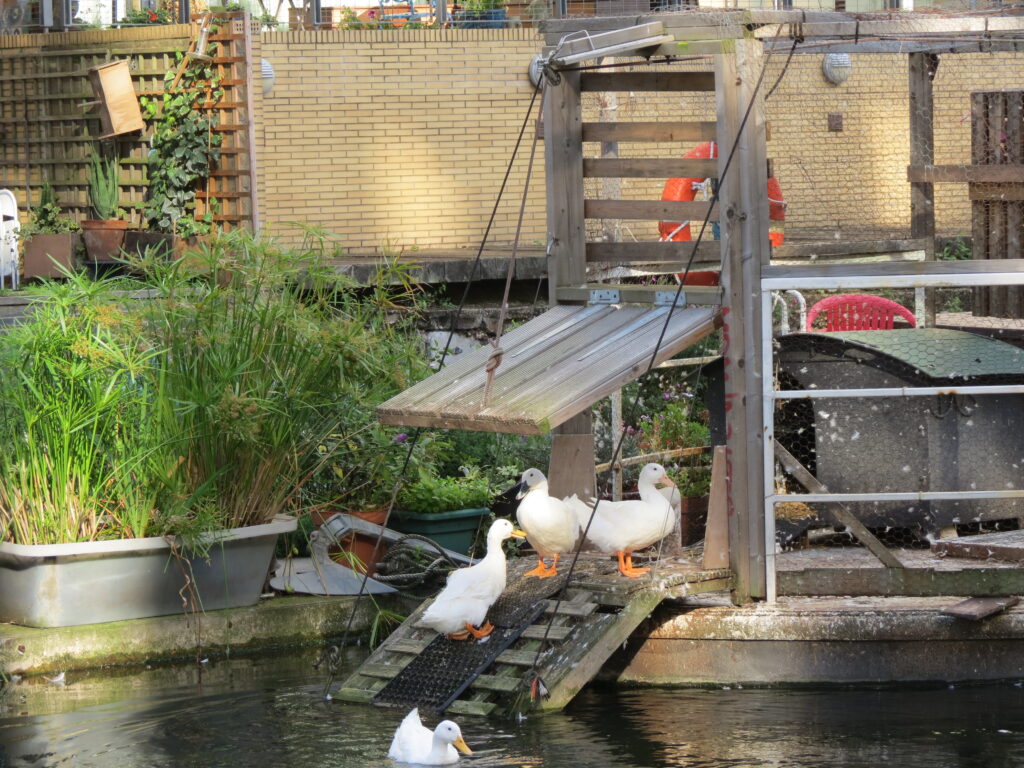 The Regent's Canal – Islington to Hoxton
