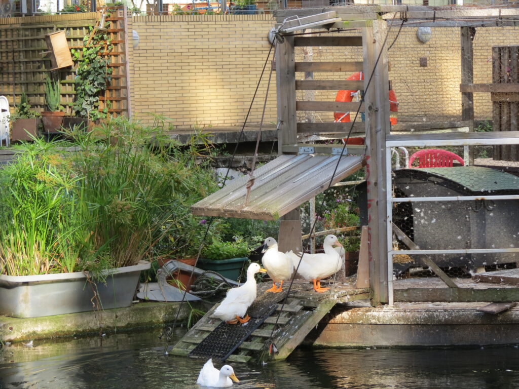 The Regent's Canal – Islington to Kingsland Road