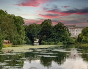 Buckingham palace