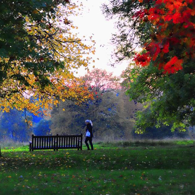 What makes a great walking tour – the Kensington Walk