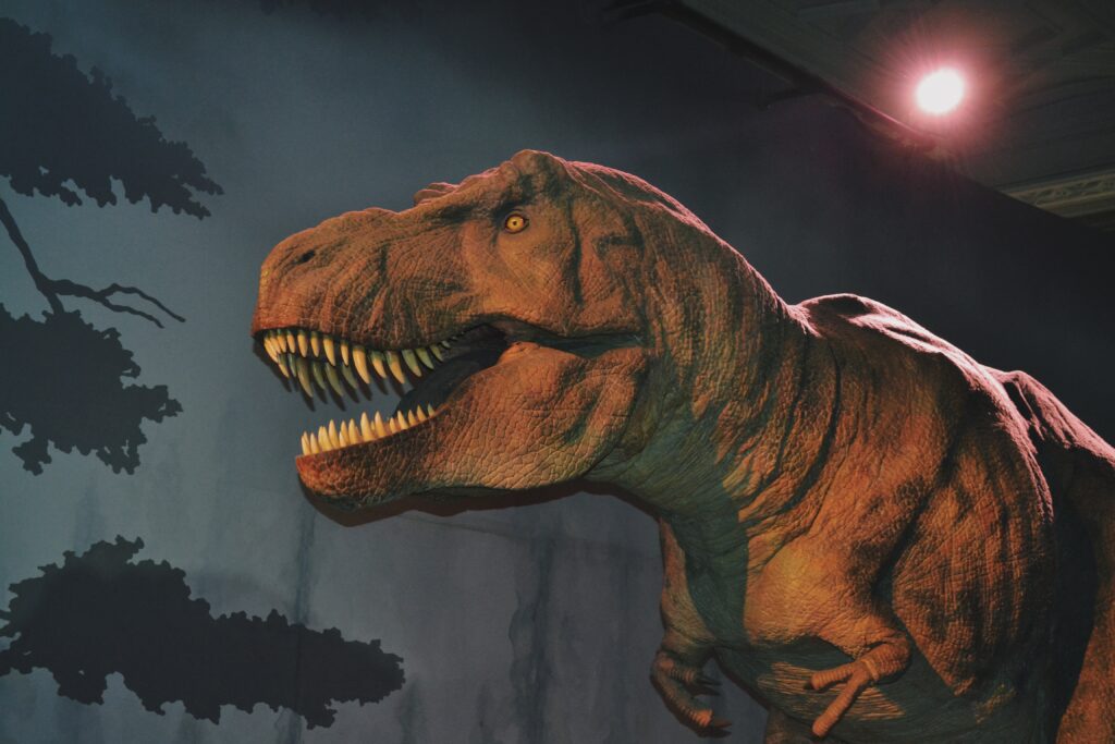 Natural History Museum - Virtual Tour