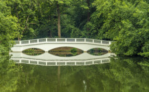 a bridge over a calm water surrounded by green trees