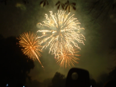 Fireworks going off at the Battersea firework display.