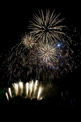 Fireworks exploding at Southwark park fireworks display.