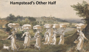 illustration of white ladies on the hampstead heath with the title hampstead's other half 