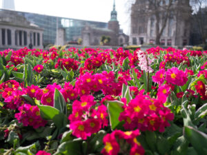 Flowers in London at Easter time
