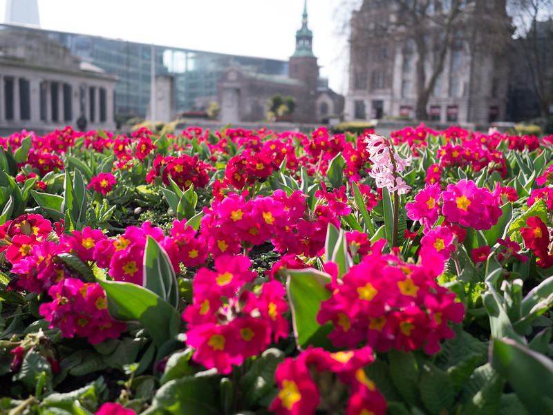 Things To Do Over The Long Easter Weekend In London London Walks