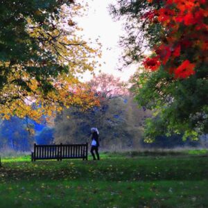 Woman walking in park - London Walks