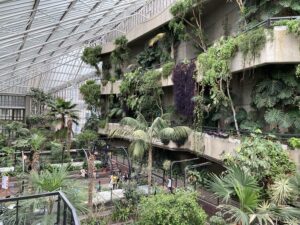 Barbican conservatory 