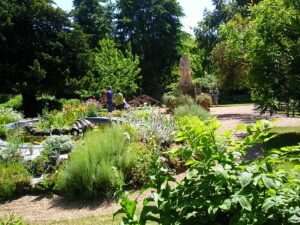 Chelsea Physic Garden