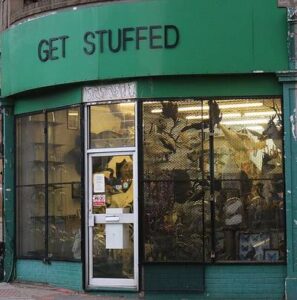 Get Stuffed, Essex Road