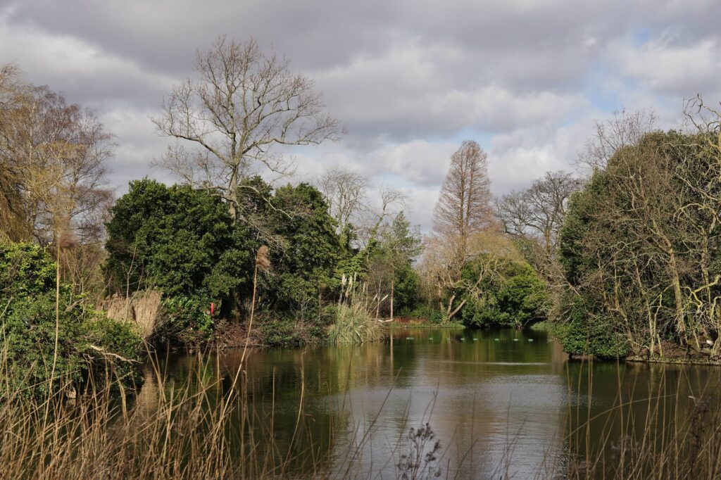 The Ultimate London Walk – Section 10: Herne Hill to Sydenham Hill