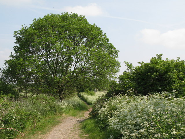 The Ultimate London Walk – Section 12: Anerley to South Norwood