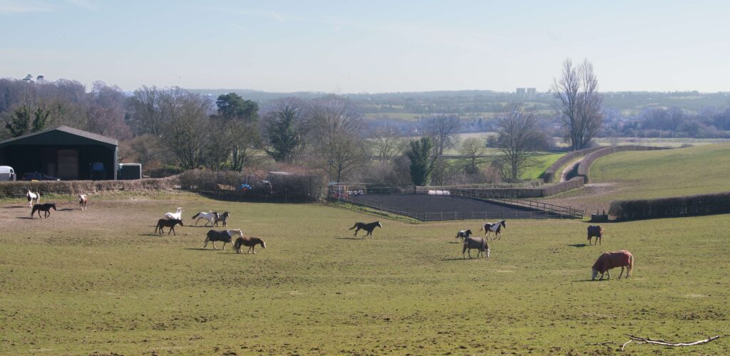 The Ultimate London Walk – Section 14: Addington Hill to New Addington