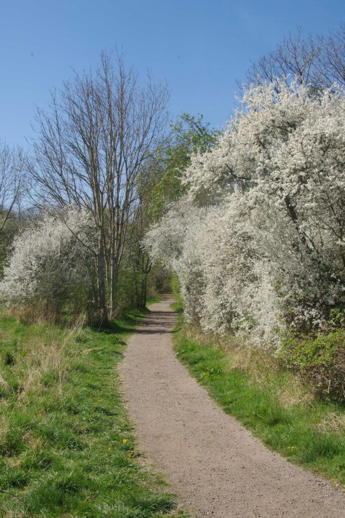 The Ultimate London Walk – Section 3: Woodside Park to Mill Hill East