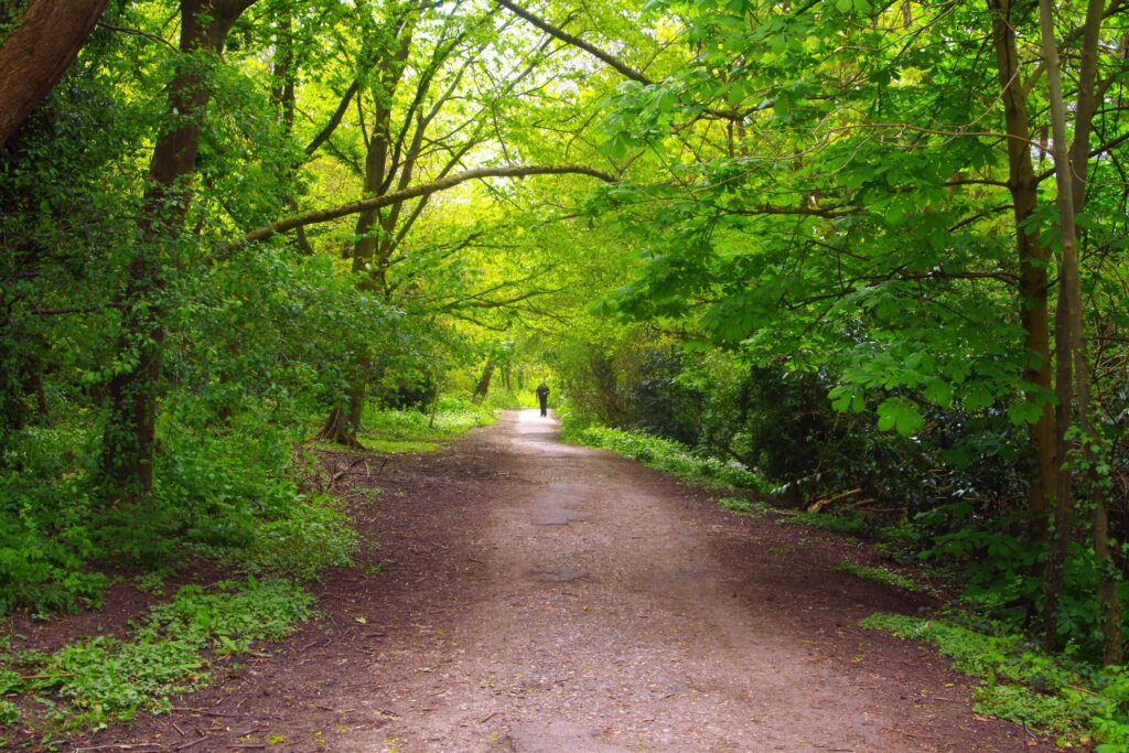 The Ultimate London Walk – Section 4: Mill Hill East to Golders Green