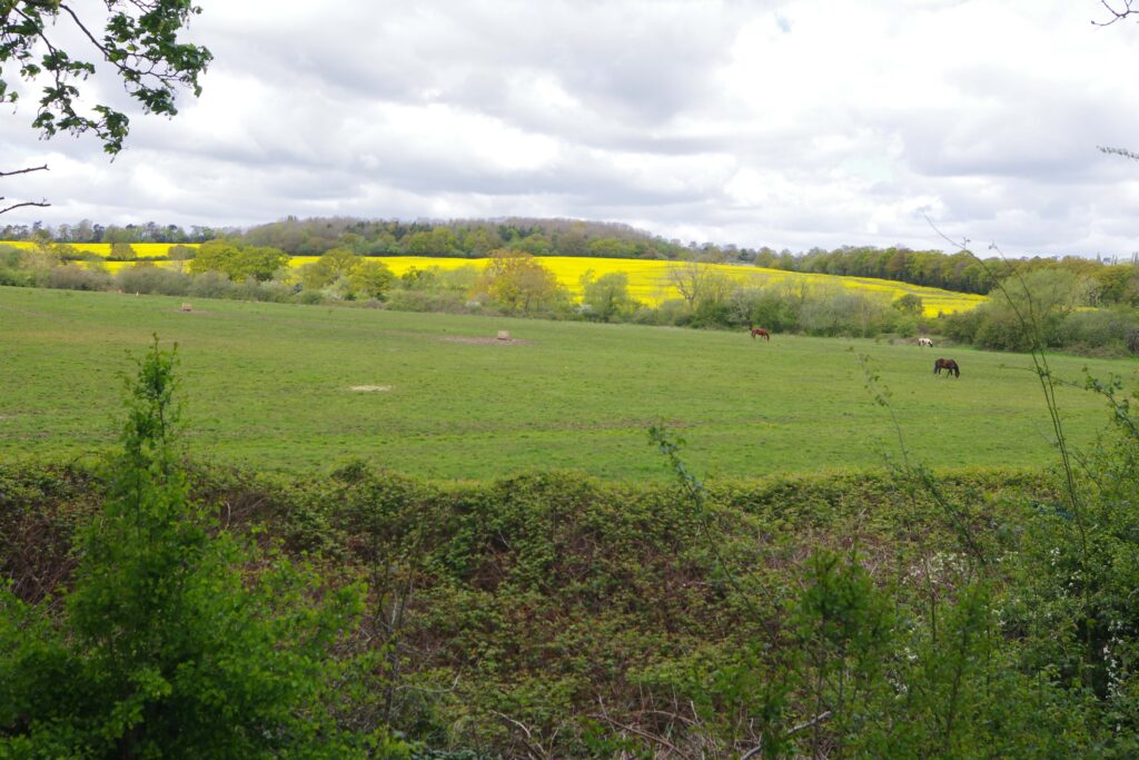 The Ultimate London Walk – Section 1: Hadley Wood to High Barnet