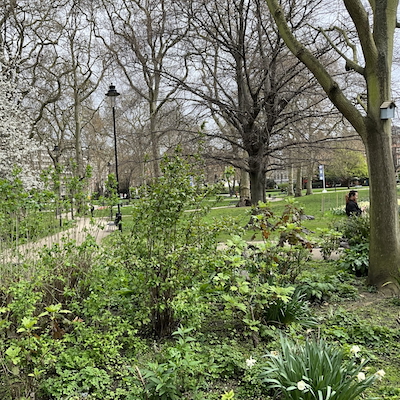 Big Ideas in Bloomsbury – Dr Ann’s Thought-Provoking New Walk episode artwork