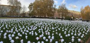 Ever After Garden at the Duke of York Square