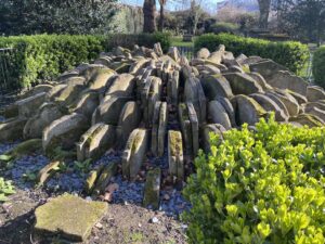 The Hardy Tree surrounded by displaced gravestones at St Pancras Old Churchyard in London