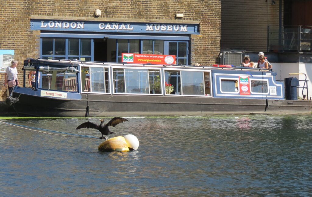 Christmas Special: Mince Pie boat cruise on The Regent's Canal