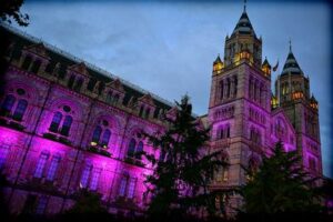 National History Museum in London evening